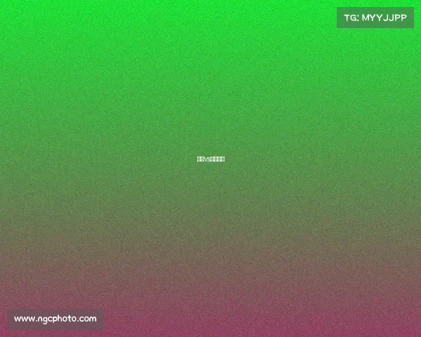 蔚山vs申花亚冠