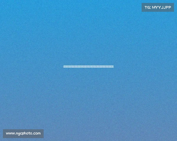 跆拳道赛事策划—创新跆拳道赛事策划全流程深度解析策略组织执行一体方案