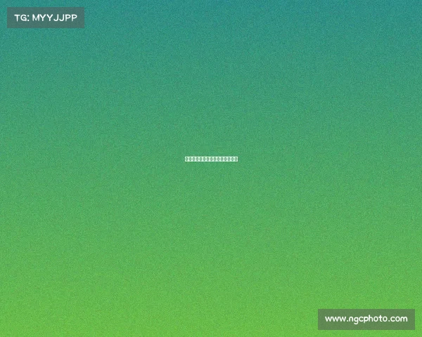 欧战包含赛事全面解析与比赛详解